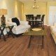 COREtec Plus 5" - Carolina Pine