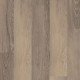 COREtec One Plus – Salton Chestnut