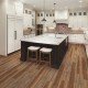 COREtec Plus XL Enhanced – Appalachian Pine