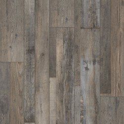COREtec Plus Enhanced - Aden Oak