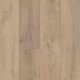 COREtec Plus Premium - Noble Oak COREtec Plus Premium - Noble Oak