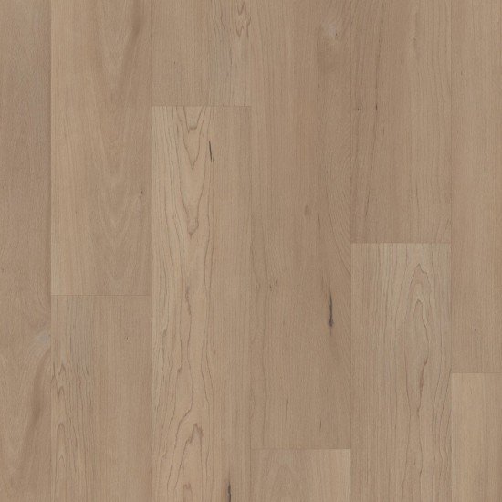 COREtec Pro Premium VV800 - Hatfield Maple COREtec Pro Premium VV800 - Hatfield Maple