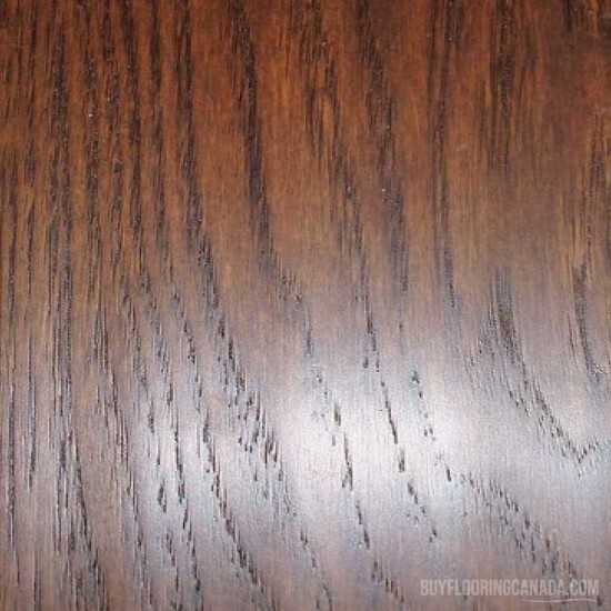 Golden Choice Flooring Solid Hickory 5" x 3/4" - Cappuccino