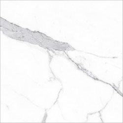Statuario Classic Porcelain Tile 24″x24″ Statuario Classic Porcelain Tile 24″x24″