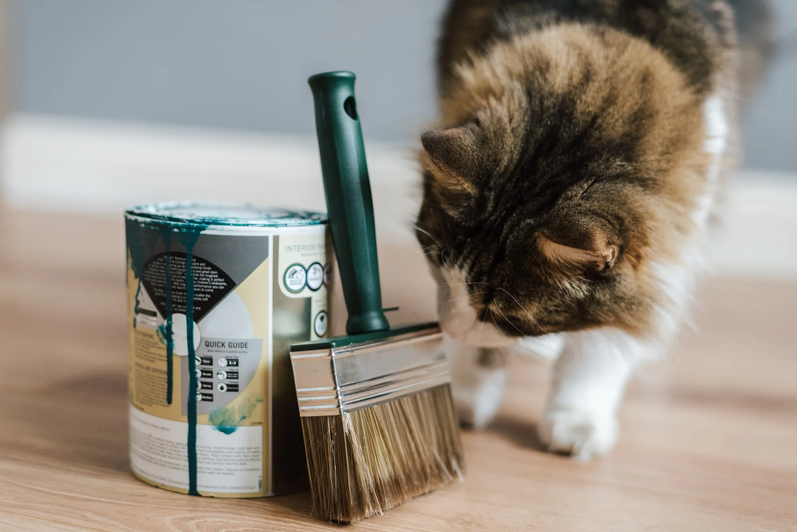 5 Maintenance Tips for Pet-Friendly Vinyl Floors