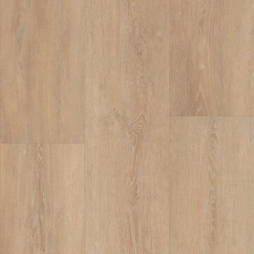 Grande Lotte Oak