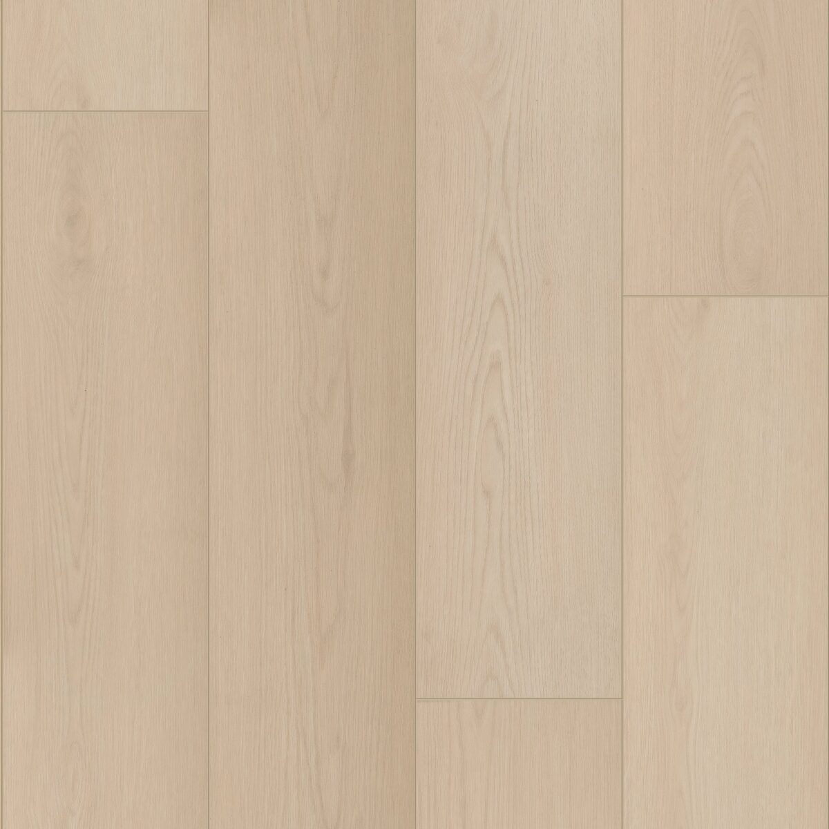 Grande Golden Halo Oak