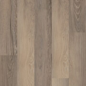 Salton Chestnut