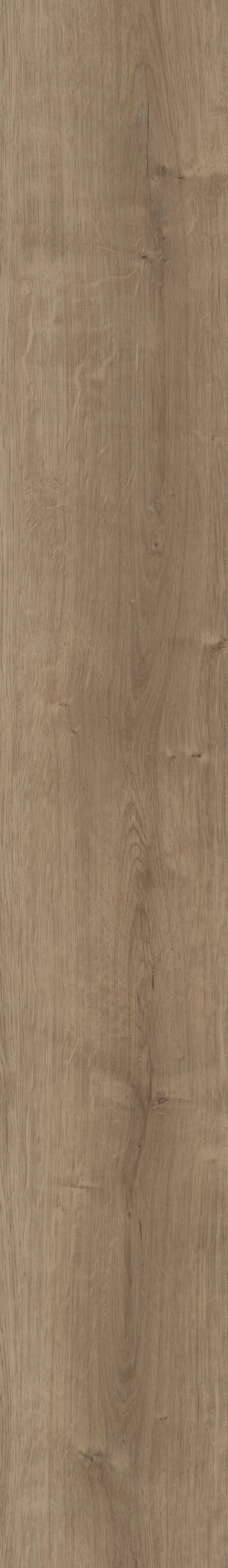 Copano Oak