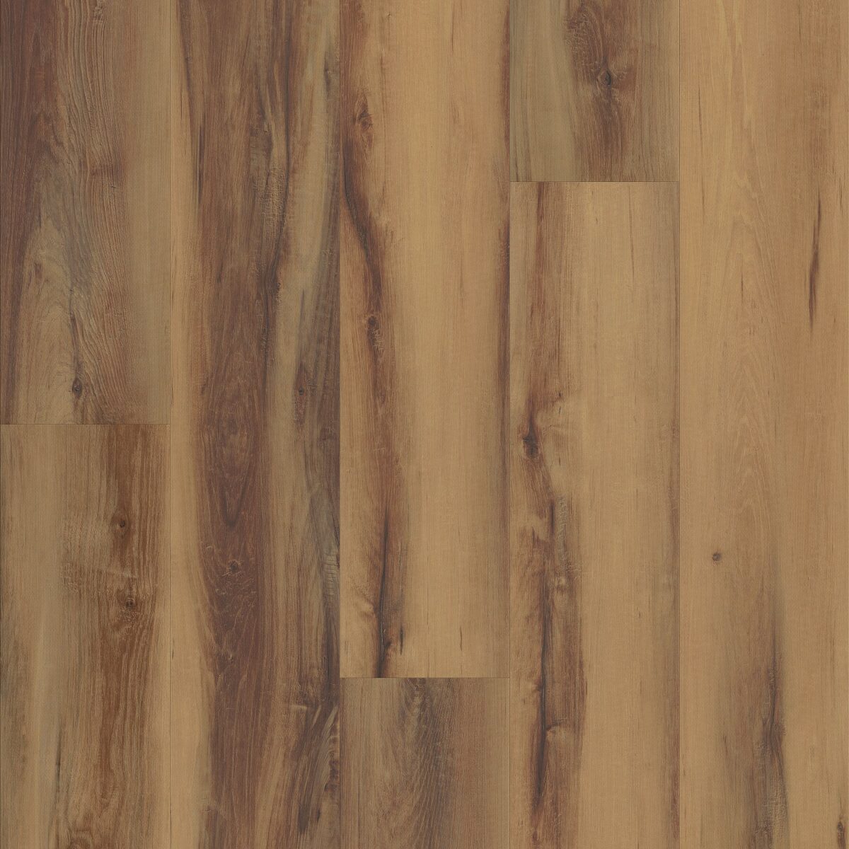 Belmont Hickory