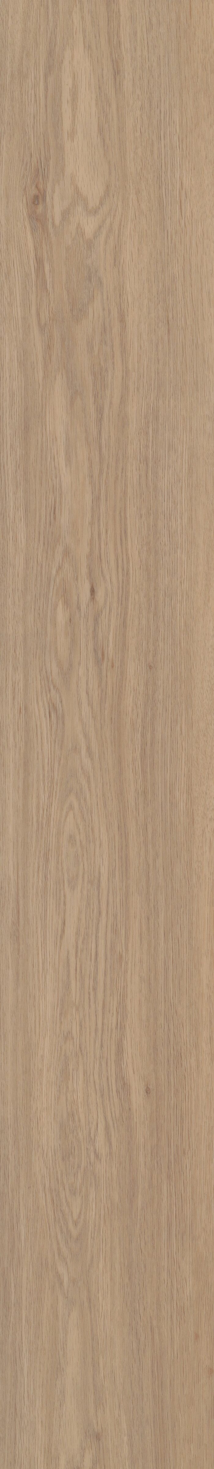 Springfield Oak