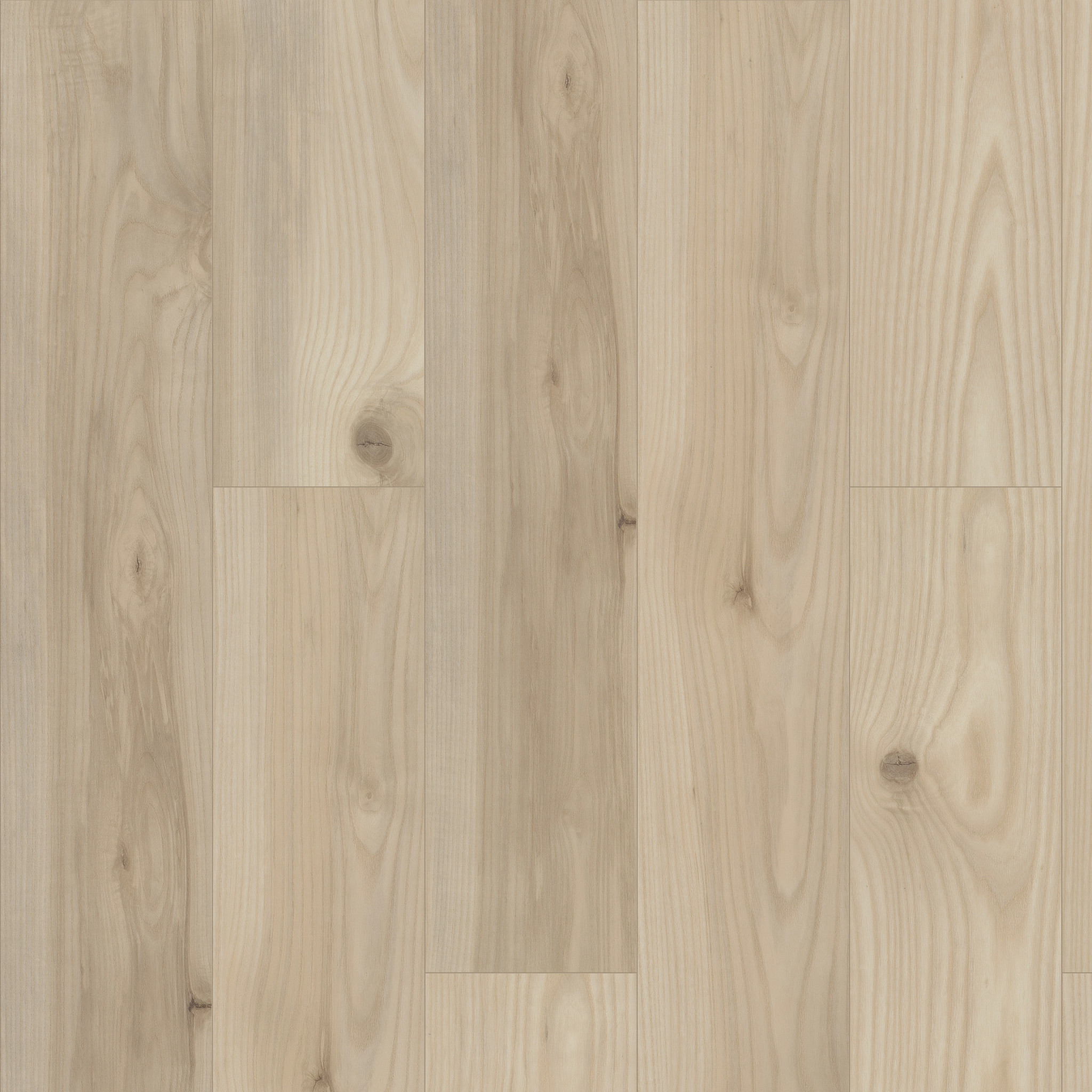 Paragon Hd+Natural Bevel - Savona