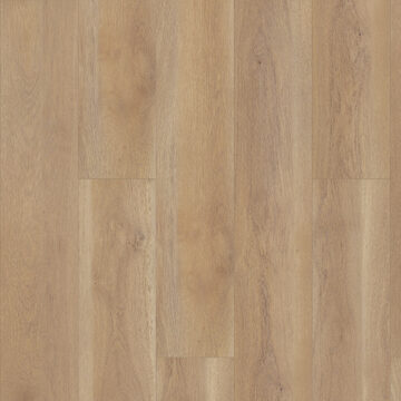 Paragon Hd+Natural Bevel - Edgemont