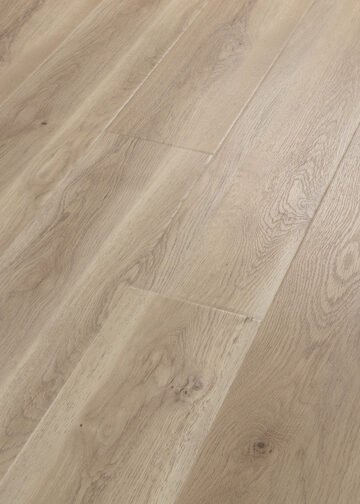 Paragon Hd+Natural Bevel - Wisteria