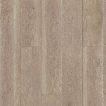 Paragon Hd+Natural Bevel - Wisteria