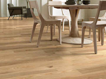 Paragon Hd+Natural Bevel - Mansart