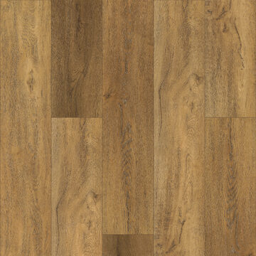 Pantheon Hd Plus - Foresta