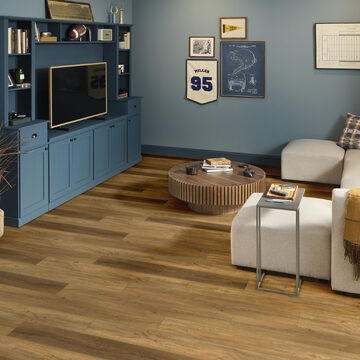 Pantheon Hd Plus - Foresta