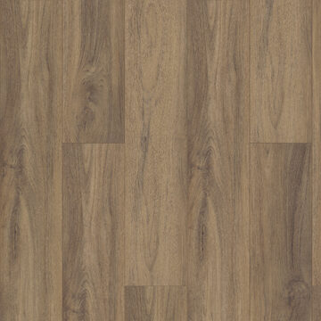 Pantheon Hd Plus - Fiano