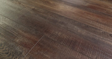 Pantheon Hd Plus - Orso