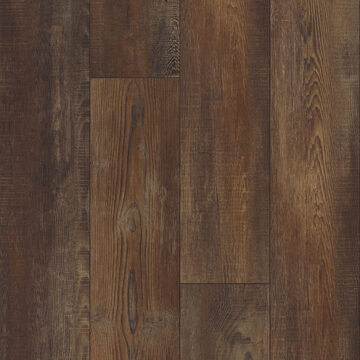 Pantheon Hd Plus - Orso