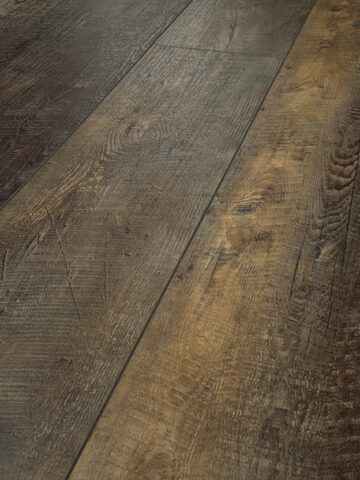 Titan Hd Plus Platinum - Timeless Barnbo