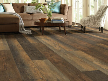 Titan Hd Plus Platinum - Autumn Barnboar
