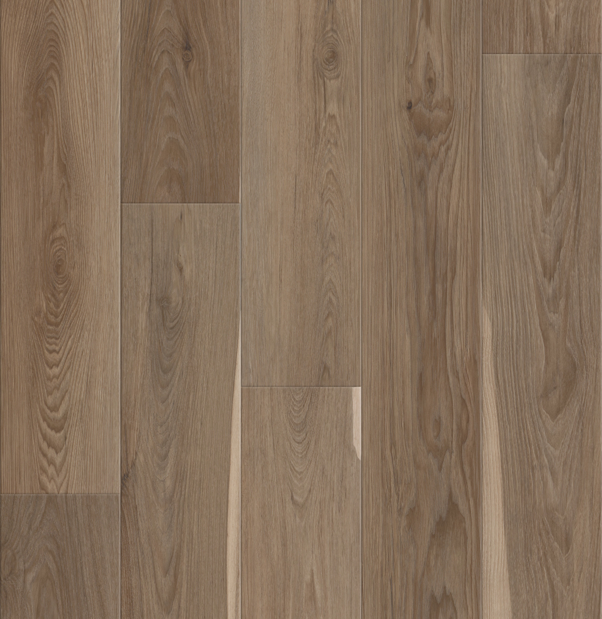 Pantheon HD+ Natural Bevel - Truffle