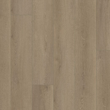 Starting Line - Driftwood Taupe