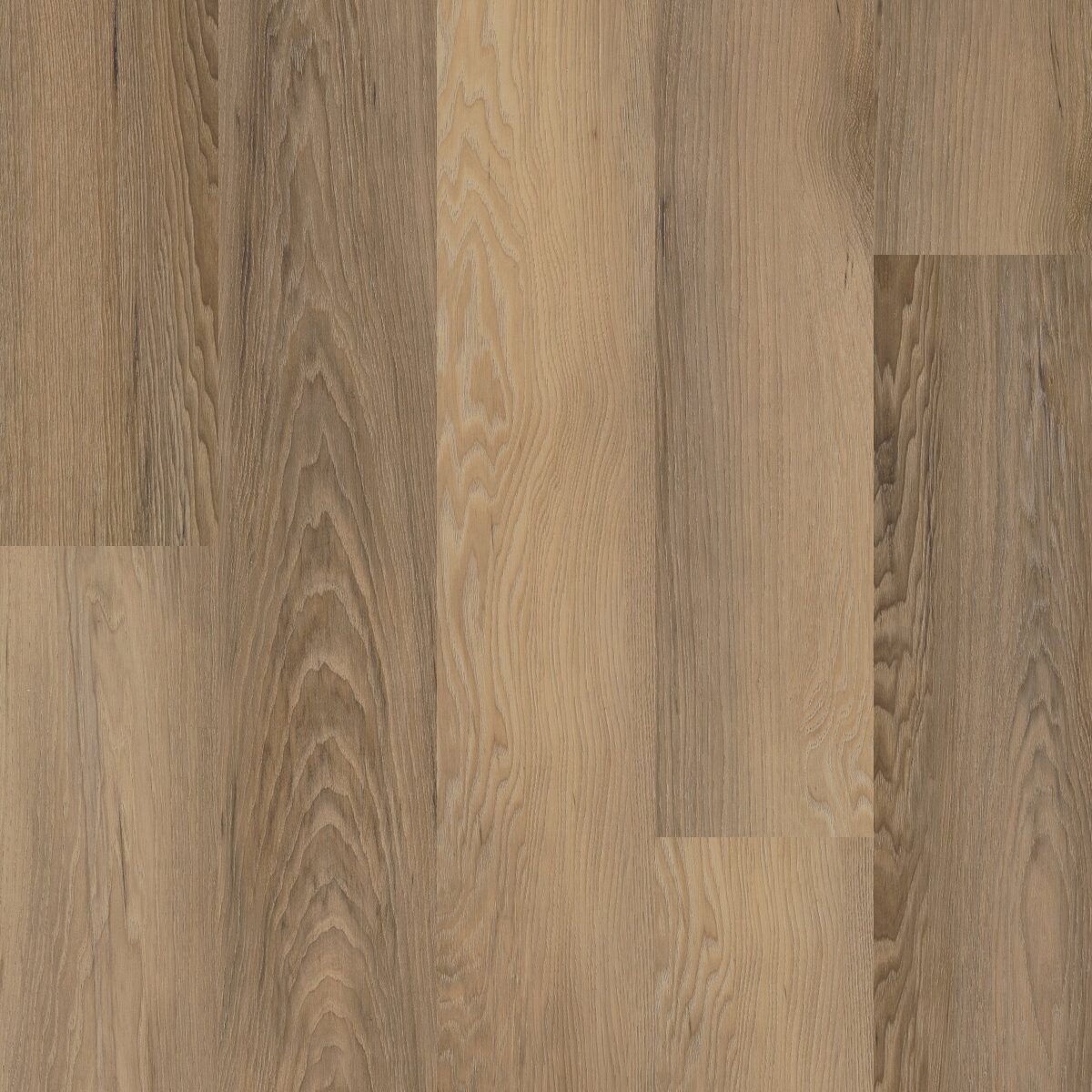 Brawley Chestnut