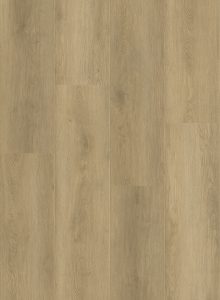 Canadian Standard Evion 9 - Arno