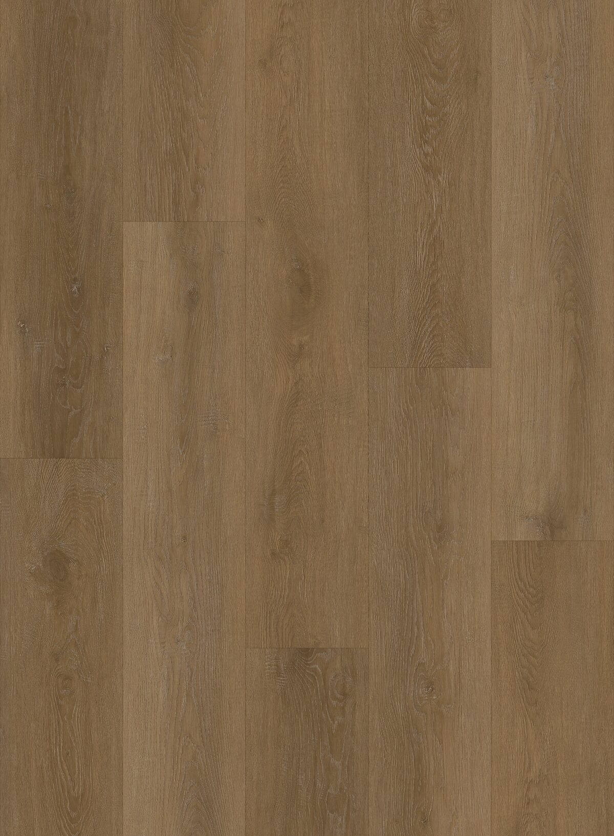 Canadian Standard Evion 9 - Eska