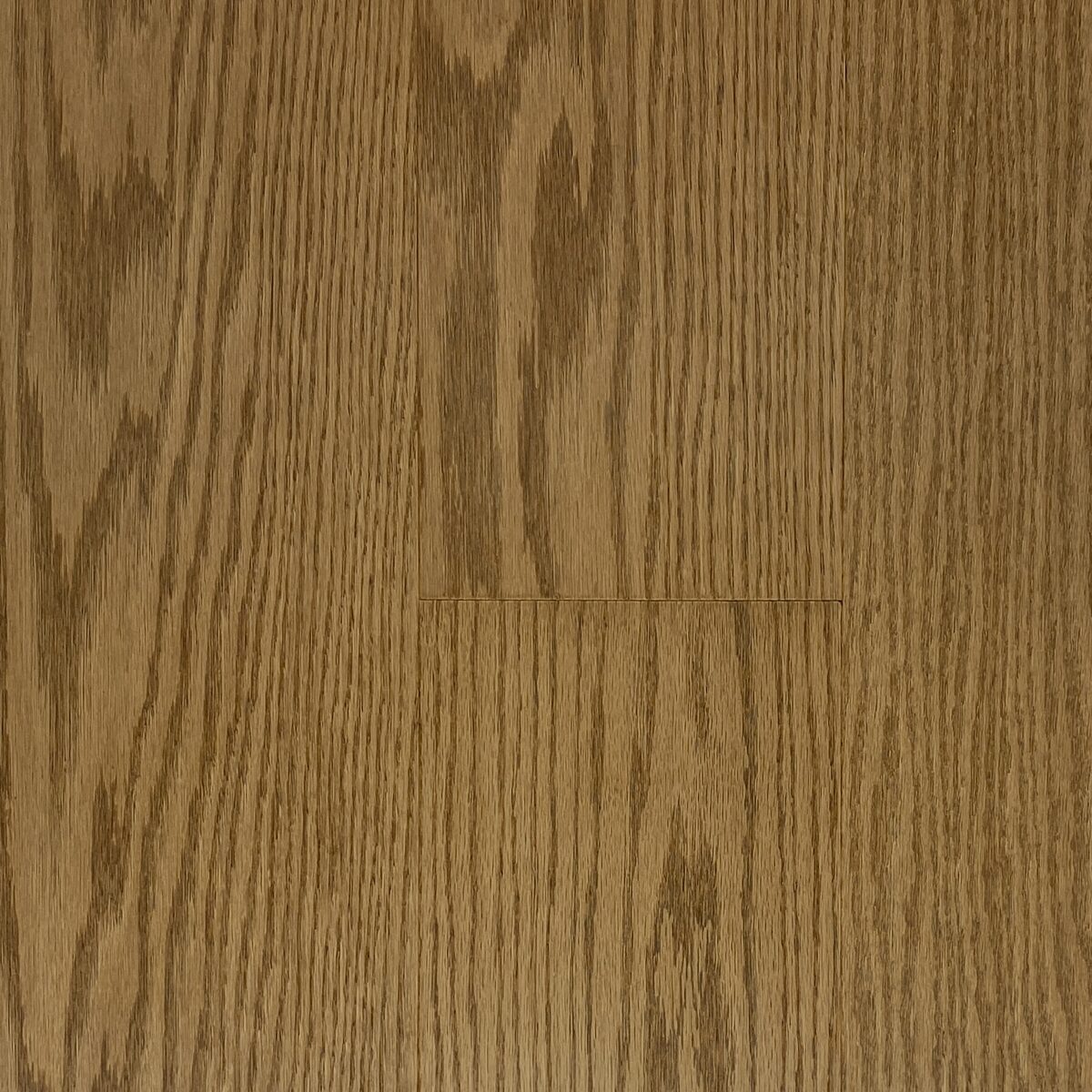 Lucid Planks - Bare