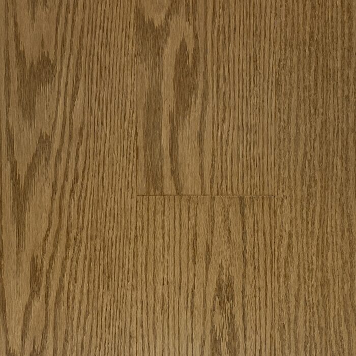 Lucid Planks - Bare