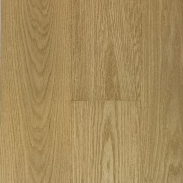 Lucid Planks - Essence