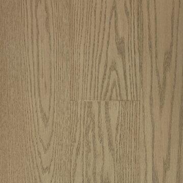 Lucid Planks - Nature