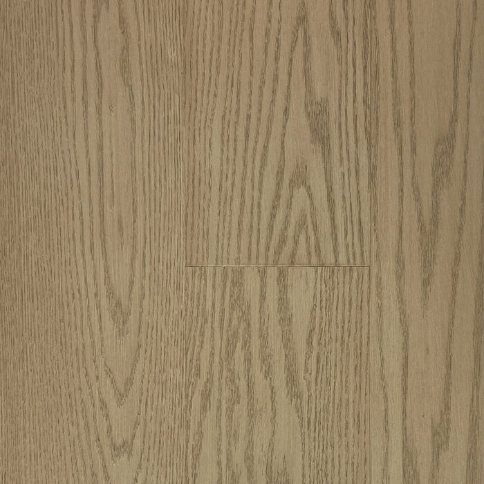 Lucid Planks - Nature