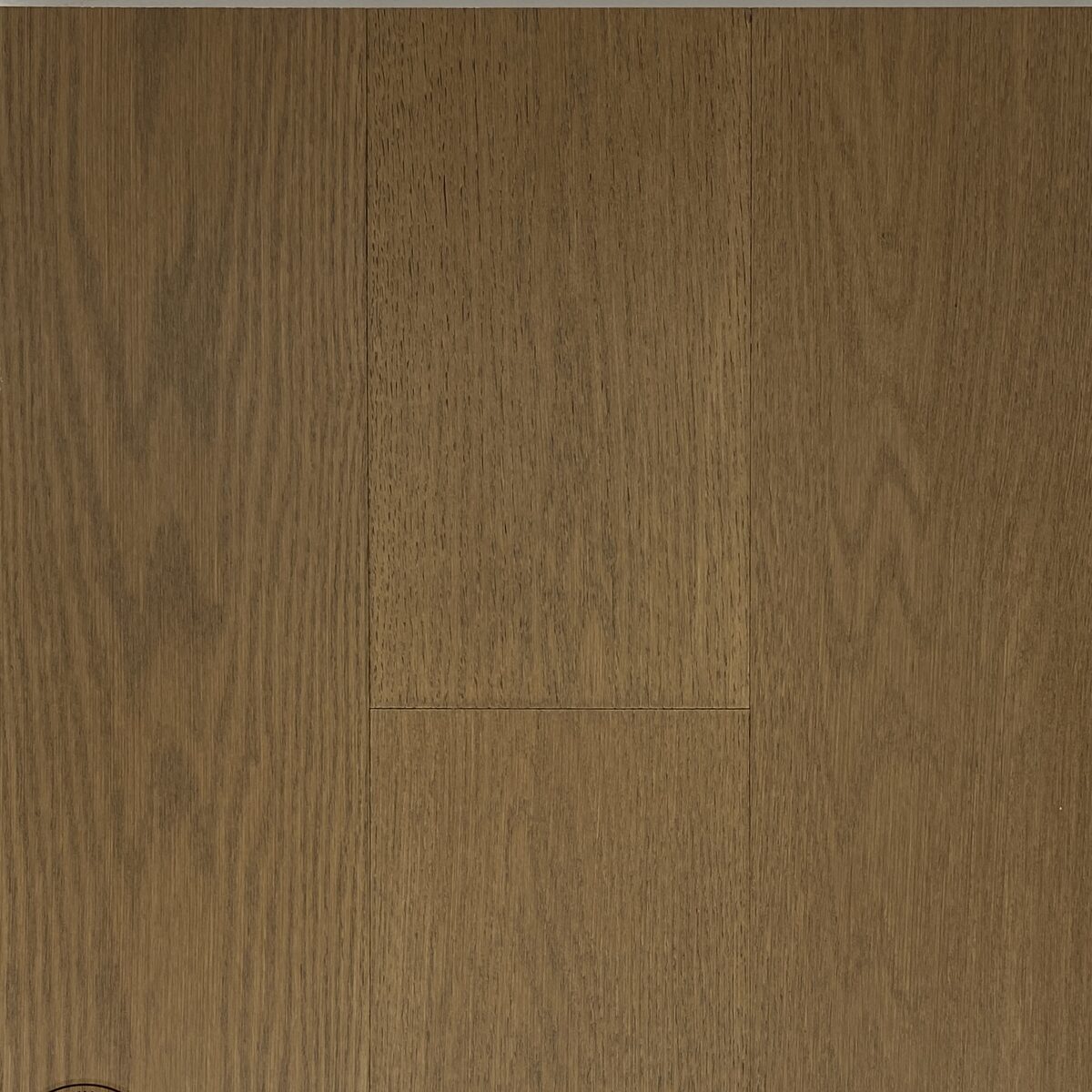 Lucid Planks - Enhance
