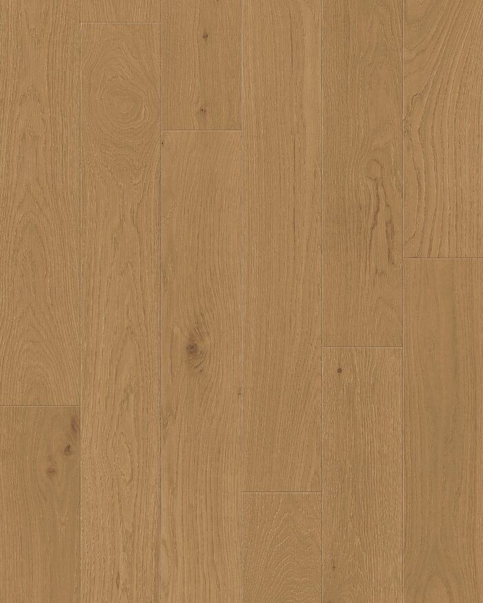 Toucan Flooring Studio Collection - Woodland