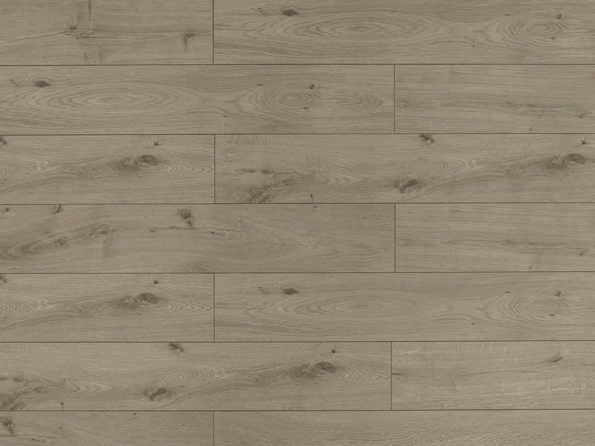 Toucan Flooring Laminate 60 Series - St. Laurent