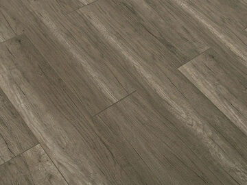 Toucan Flooring Laminate 62 Series - Loess