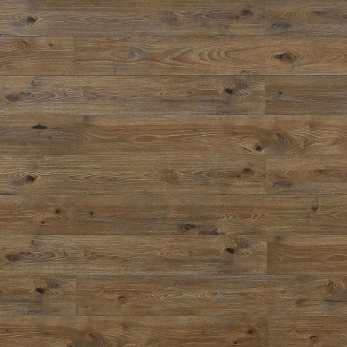 Toucan Flooring Laminate 80 Series - Bovine / TF8002