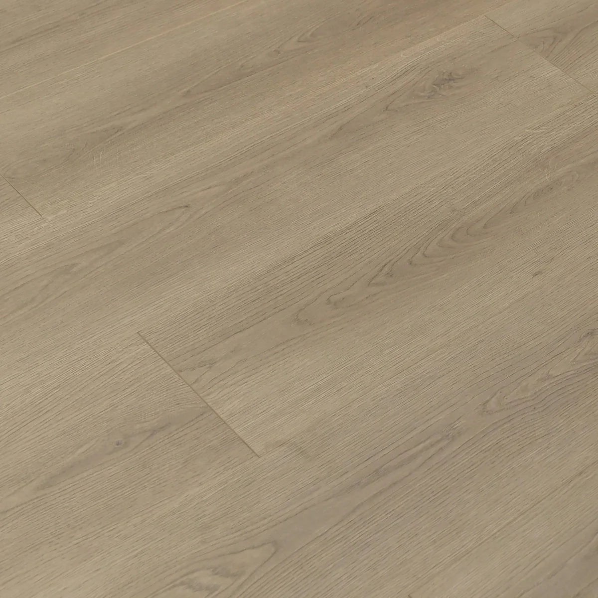 Toucan Flooring Laminate 83 Series - Canadian goose