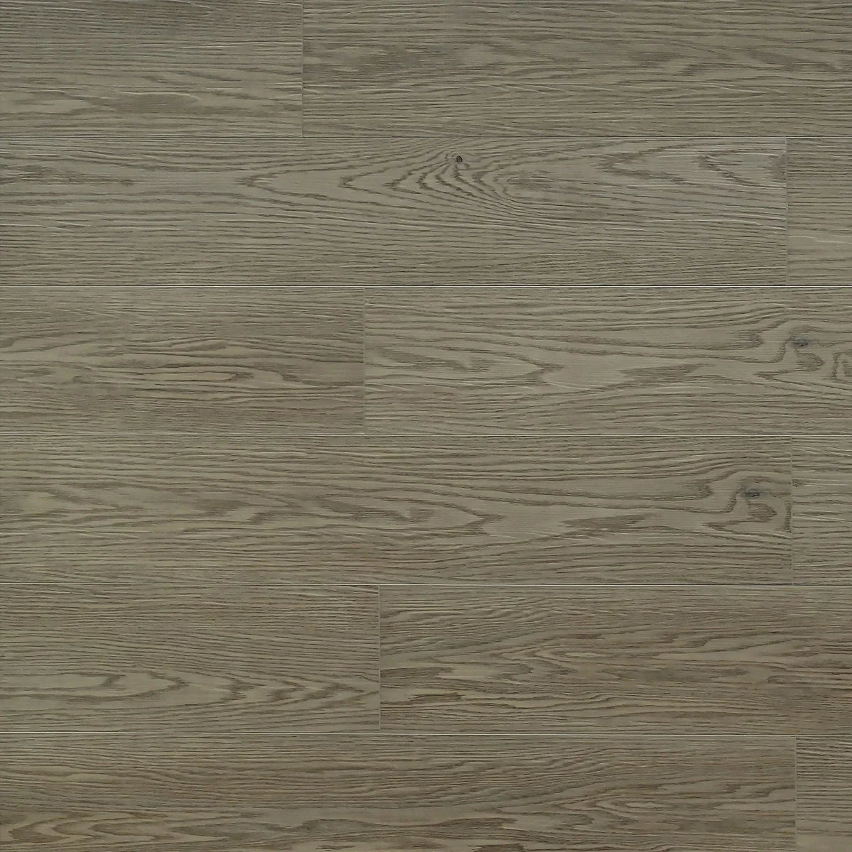 Toucan Flooring SPC 6 Series - Rome