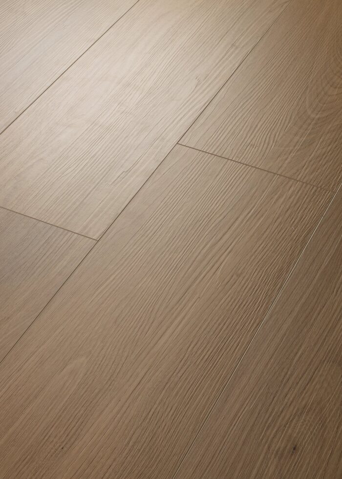 San Marino Elm
