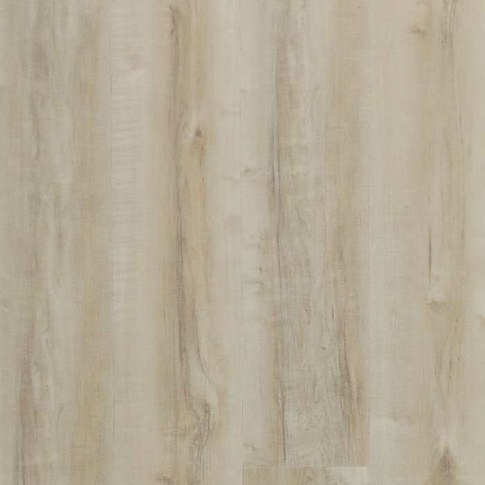 Biyork Hydrogen 6 - Lily Canvas