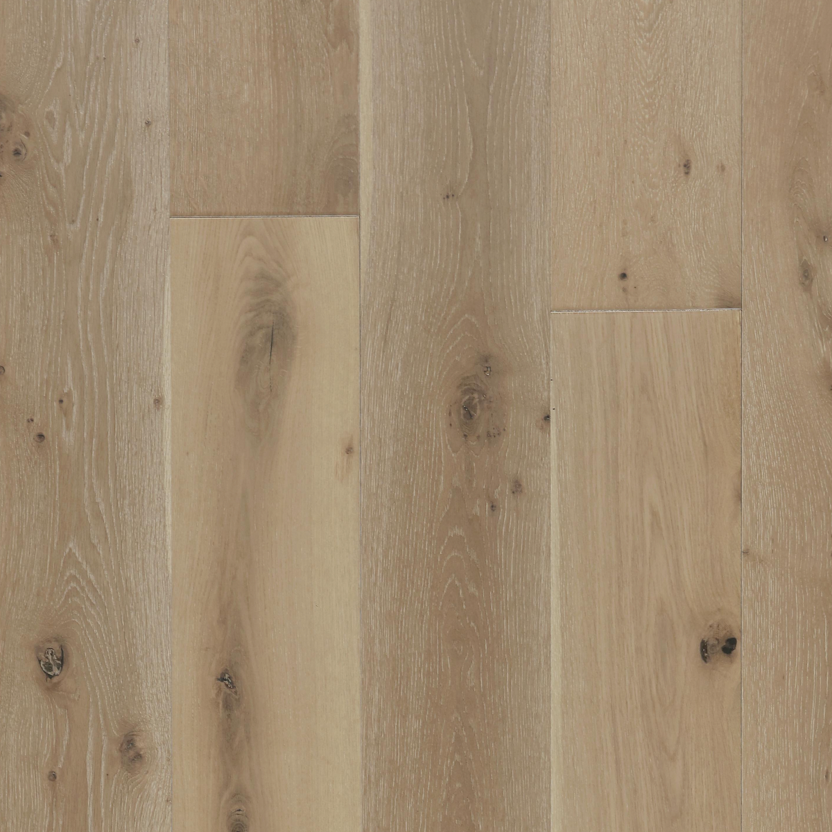 Biyork Nouveau 7 Bespoke - Breezy Boardwalk