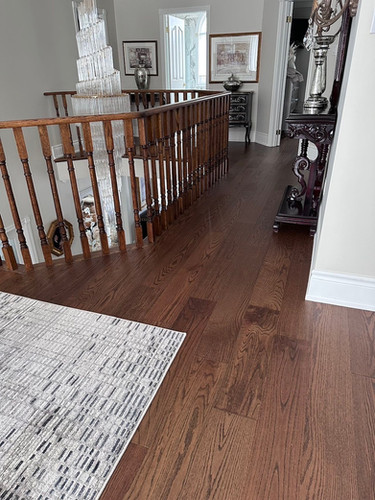 Vermont Collection - Woodland