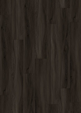 6 Collection - 608