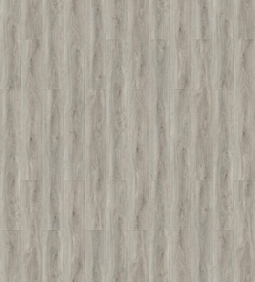 6 Collection - 605
